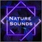 Relaxing Music is the application exceptionally designed for your device that will enable you to completely relax any place you are
