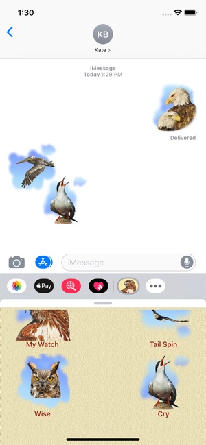 Birds for Words for iMessage(圖3)-速報App