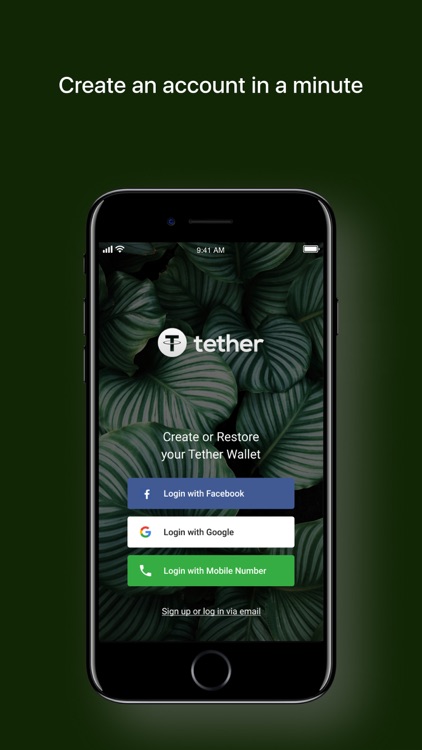 wallet to hold tether crypto