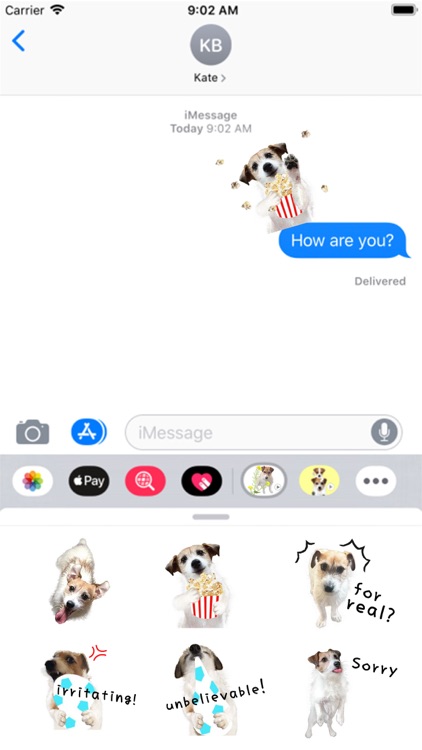 Jack Russell Animation 1