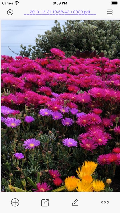 Scanner App: PDF Pro