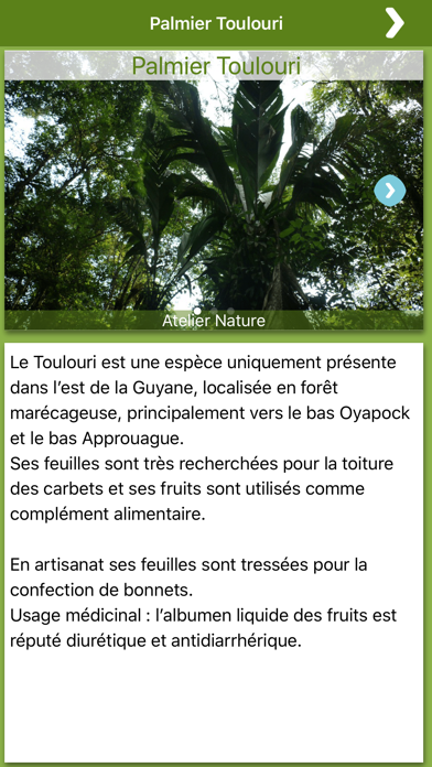Guyane Découvertes screenshot 4
