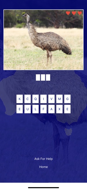 Bird Quiz - Birds of Australia(圖3)-速報App