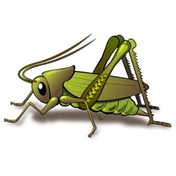 Insects Stickers