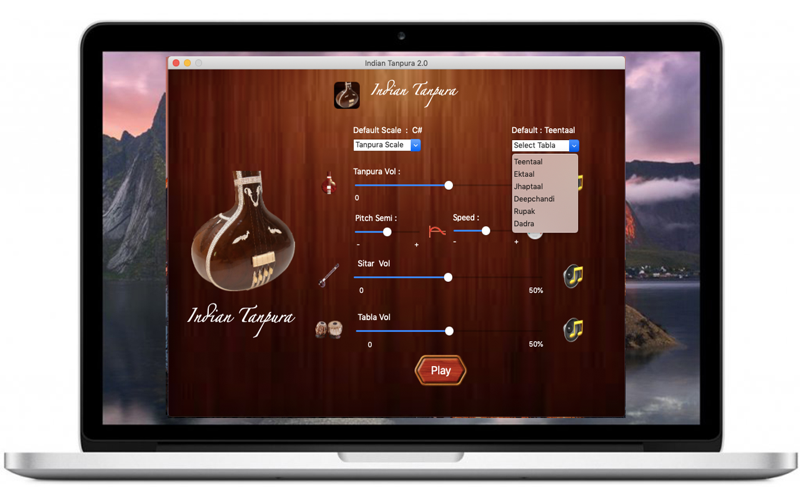 Indian Tanpura screenshot 3