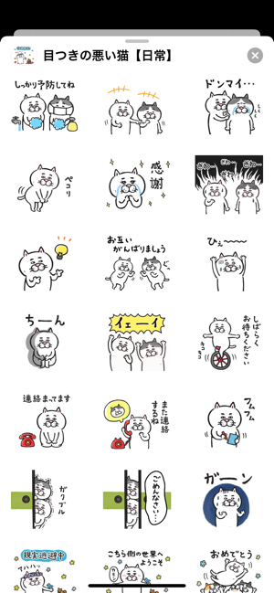 Pretty cat 6(圖3)-速報App