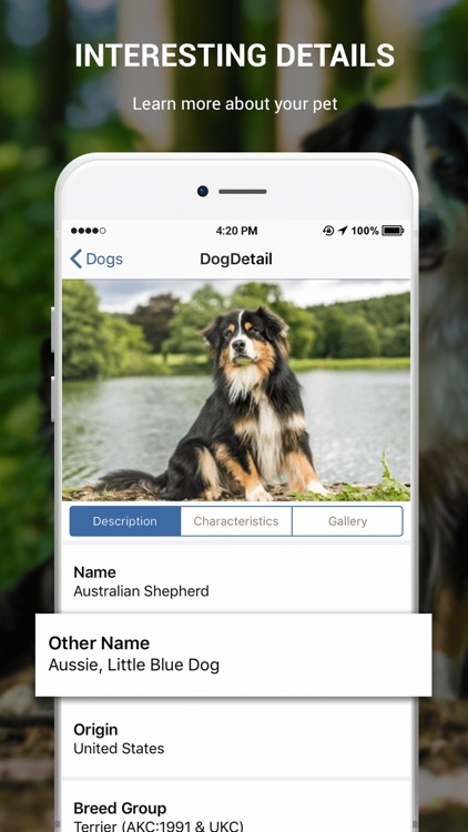 Dog Book: Breed Identifier screenshot-5