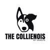 The Collienois Dog Blog