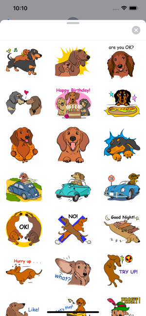 Adorable Weenie Dachshund Dog(圖2)-速報App