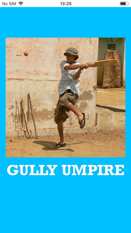 Gully Umpire