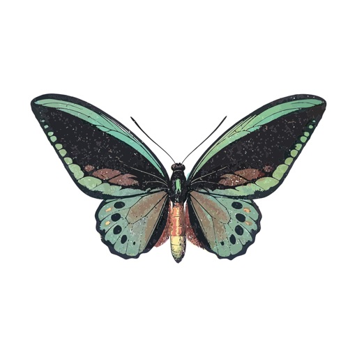 Amazing Butterfly Stickers
