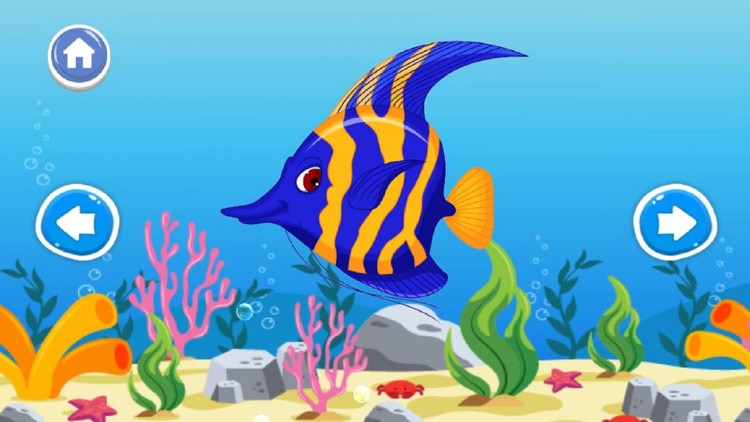 A to Z Aquatic Animals