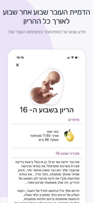 פורטי הריון ולידה On The App Store