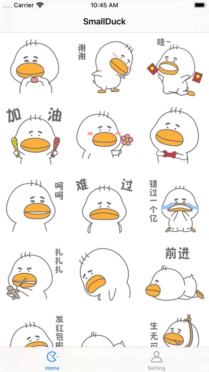 SmallDuck