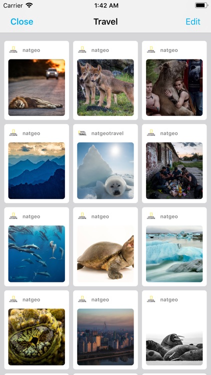 My Followers for Instagram (B) screenshot-4