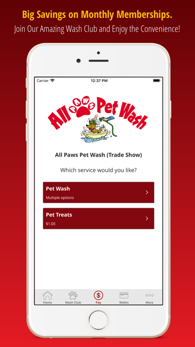 All Paws Pet Wash screenshot 3