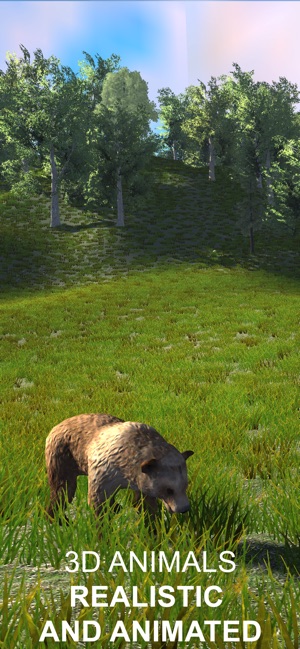 Explain 3D: Forest animals(圖3)-速報App