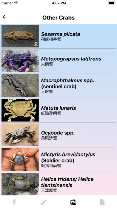 Marine Biology (HKUST) screenshot 4