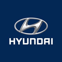 Hyundai BELUX pour PC