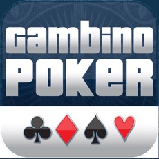 Activities of Gambino Poker