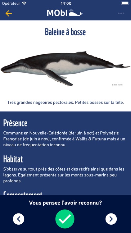 WWF Mobi screenshot-3