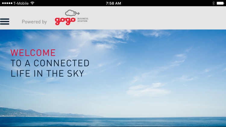 Gogo Vision (Biz Av)