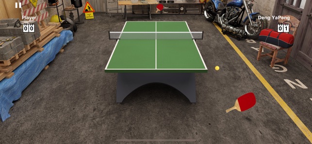 Virtual Table Tennis