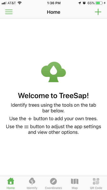 TreeSap