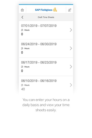 SAP Fieldglass Time Entry - náhled