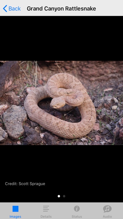 Grand Canyon NP Field Guide screenshot-5