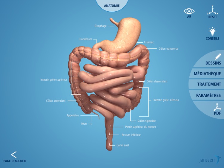 IBD Insights MEA