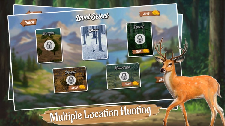 Jungle Deer Hunting Challenge