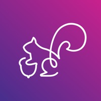 Noz Plataforma de comunicação pour PC