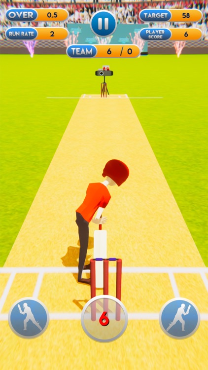 Cricket World Cup Mayhem 2019 screenshot-3