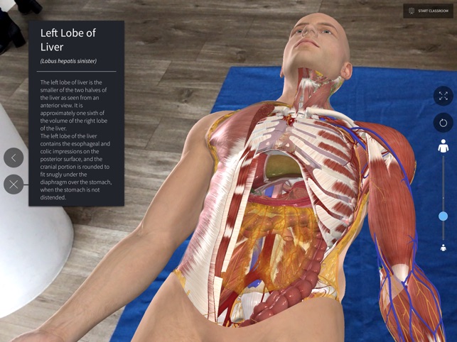 Complete Anatomy 19 for iPad(圖8)-速報App