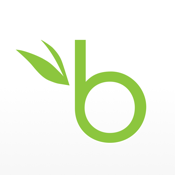 BambooHR icon