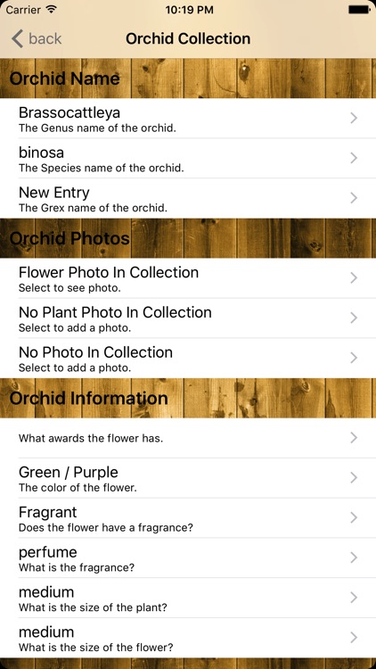 Orchid Notebook screenshot-3