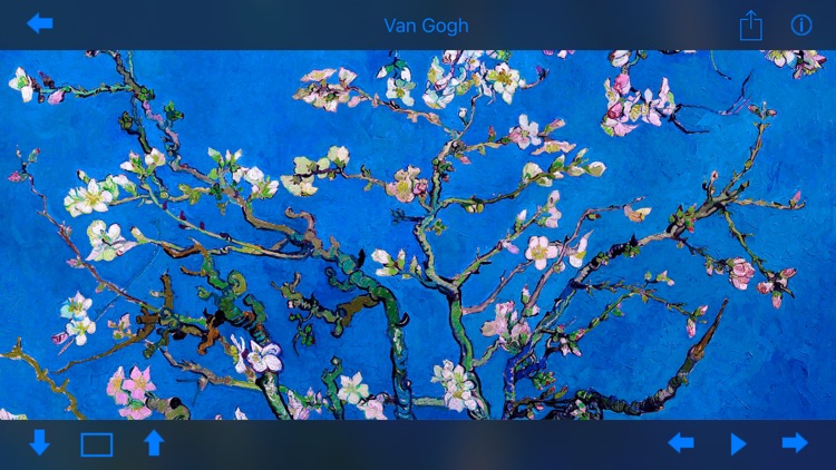 Art Wallpaper Van Gogh HD screenshot-4