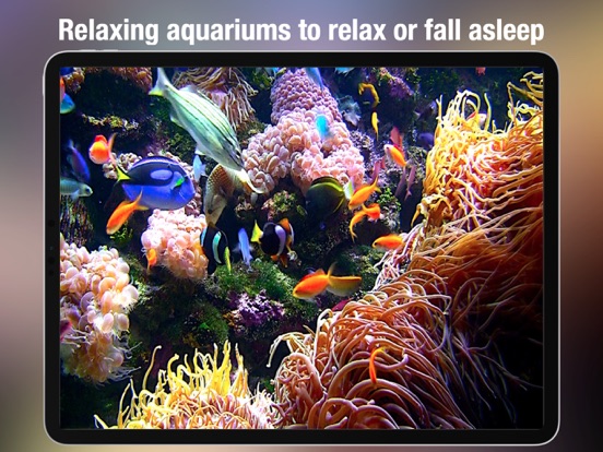 Aquarium live HD free: Coral reef scenes with relaxing nature & ocean sounds for stress relief screenshot