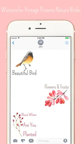 Game screenshot Vintage Birds & Floral Sticker mod apk