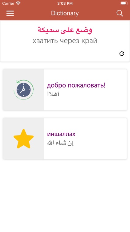 Arabic-Russian Dictionary