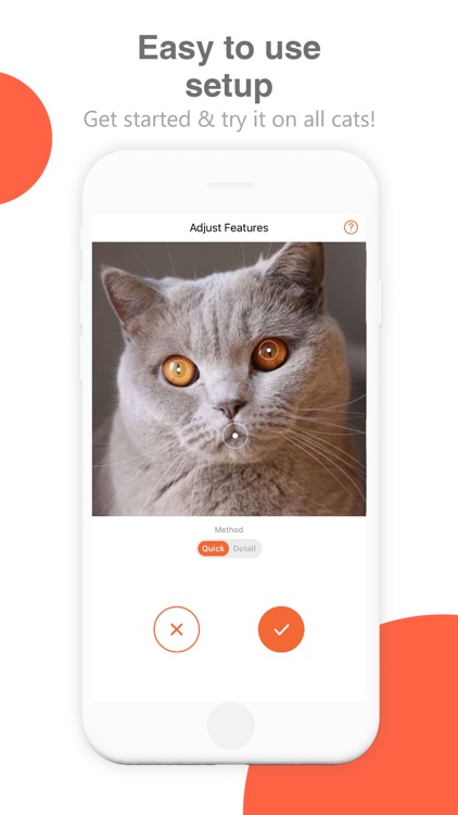 Bombing Cat
