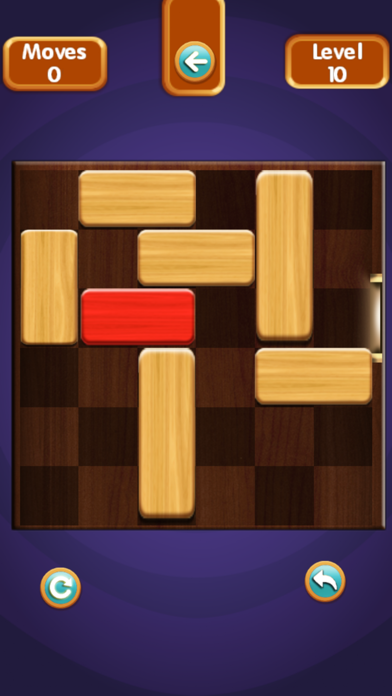 Unblock Puzzle Pro screenshot 2