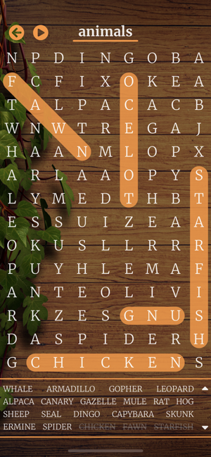 Word Search Infinity