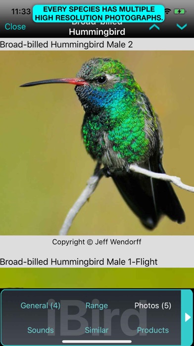 iBird Plus Guide to Birdsのおすすめ画像7