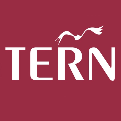 Tern