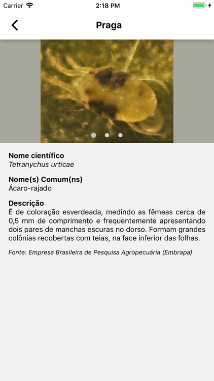 Aplicativo Bioinsumos screenshot-7