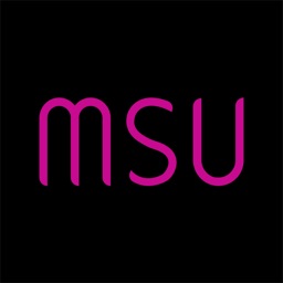 MSU SALON