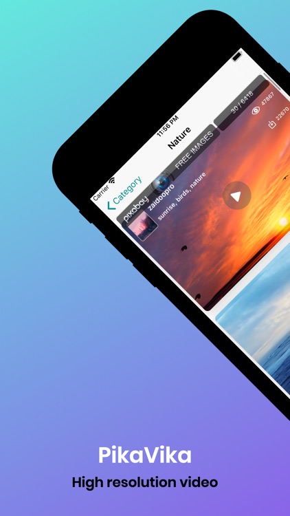 PikaVika screenshot-4