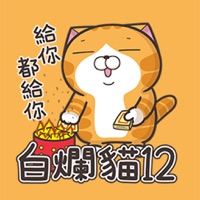 臭跩貓愛嗆人12-白爛貓超搞怪 pour PC